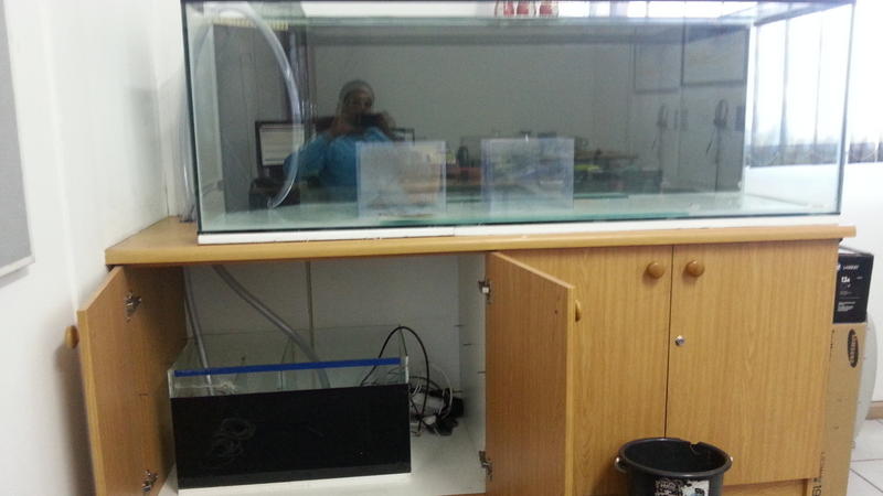 20131009_143741.jpg