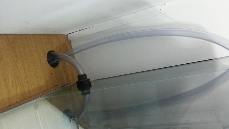 20131009_143749.jpg