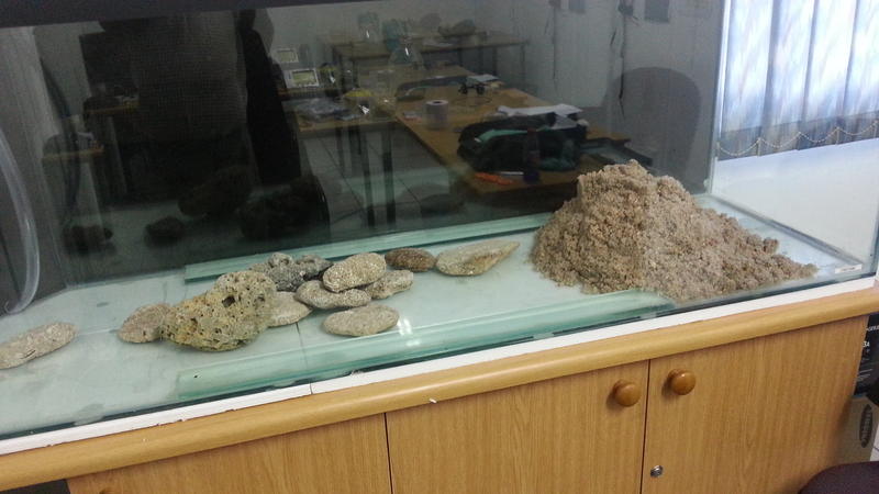 20131010_093730.jpg