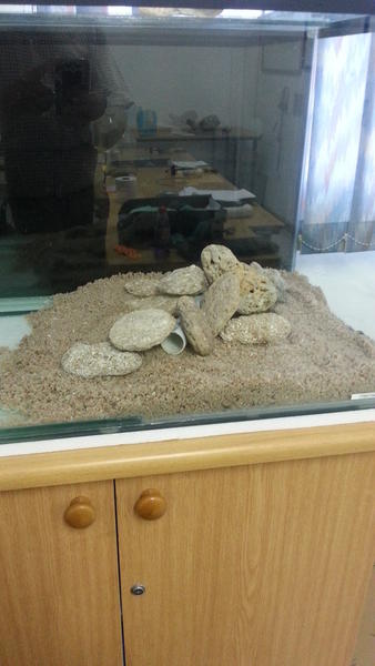 20131010_102332.jpg