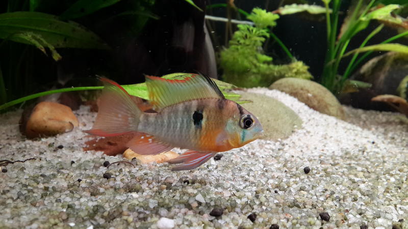 20131013_200436.jpg
