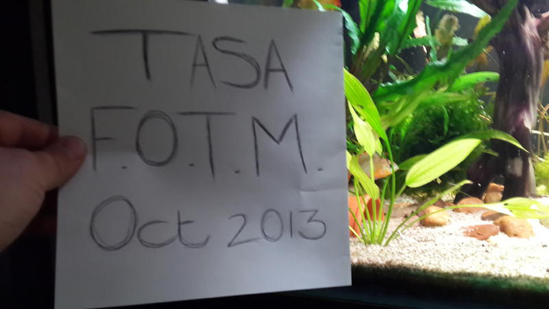 20131013_200723.jpg