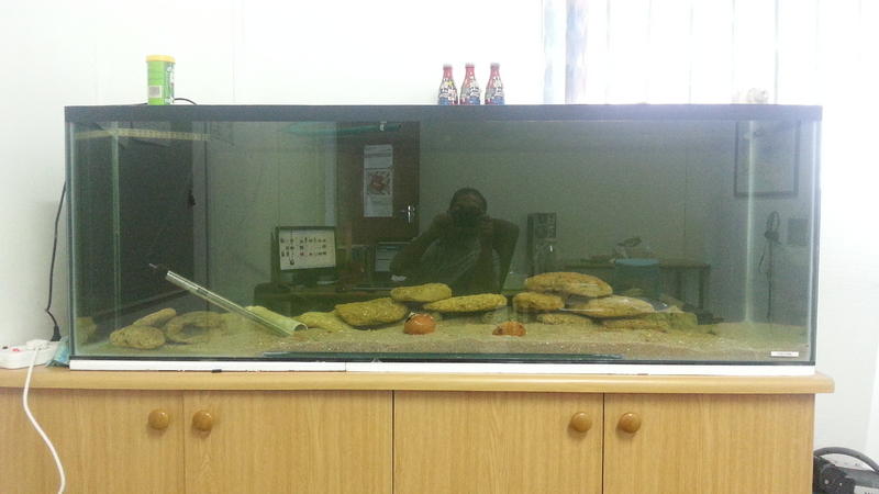 20131016_120954.jpg