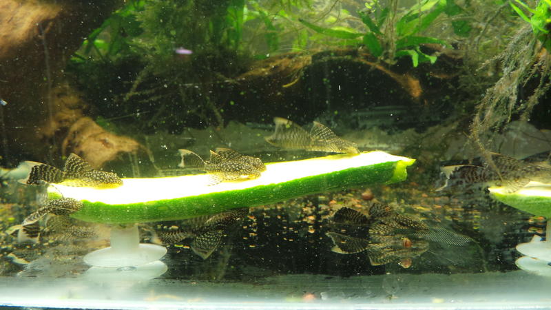 20131025_175934.jpg