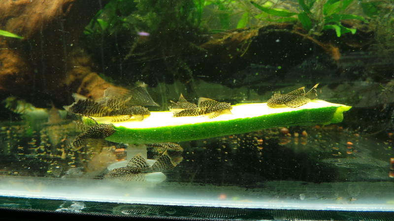 20131025_180254.jpg
