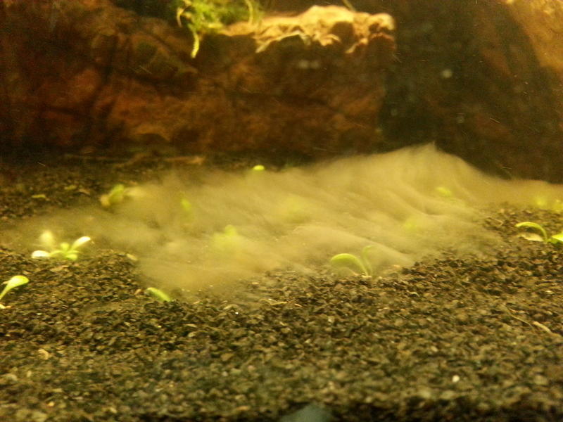 20131107_185636.jpg