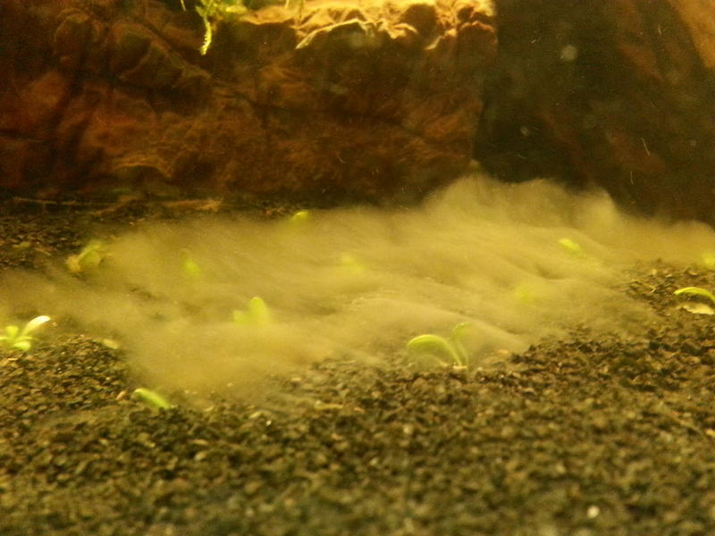 20131107_185645.jpg