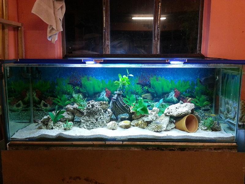 20131128_193422.jpg