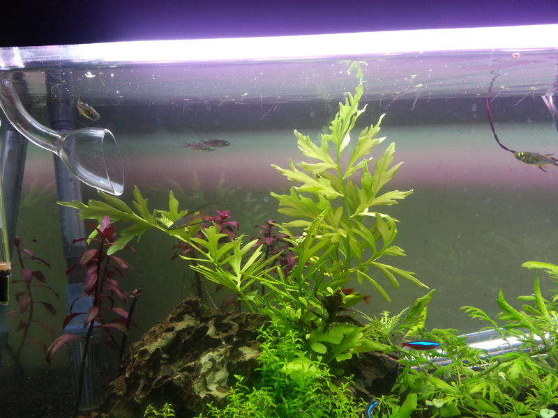20131226_201219.jpg