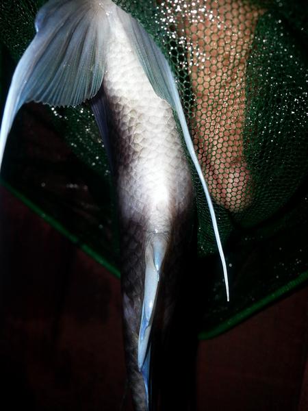20140108_202841 LAST.jpg