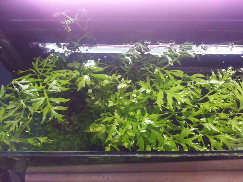 20140123_193218.jpg