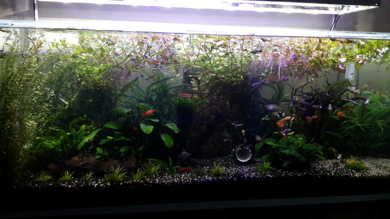 20140511_164513.jpg