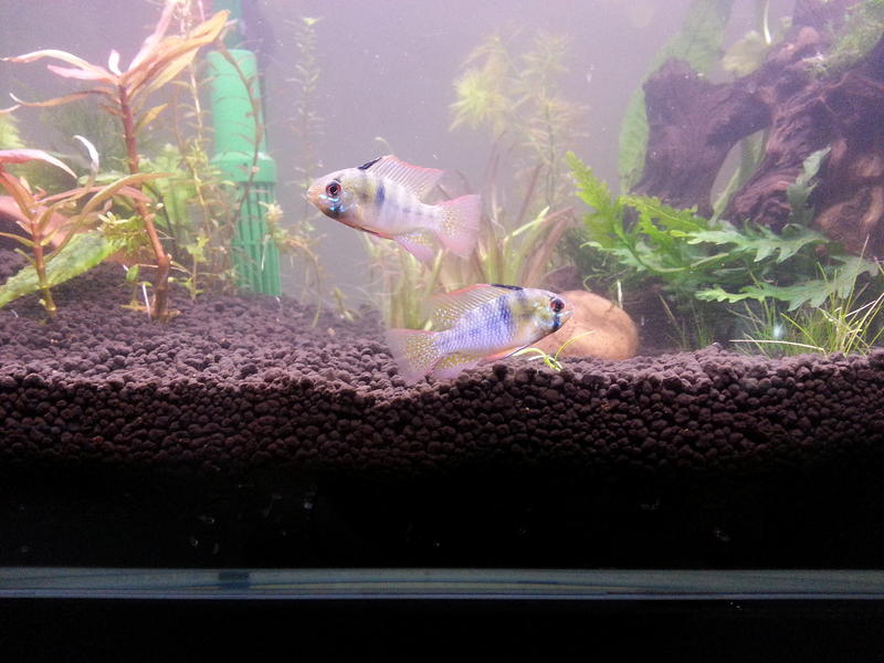 20140525_154607.jpg