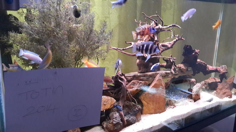 20140713_170214.jpg