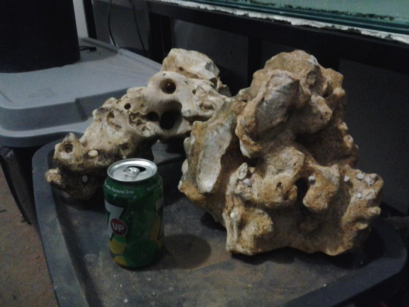 20140717_201556.jpg