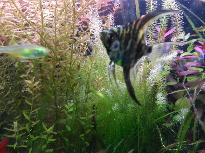20150409_175103.jpg
