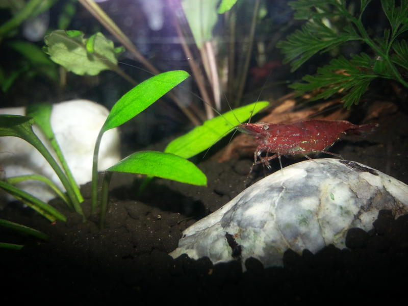 20150428_192927.jpg