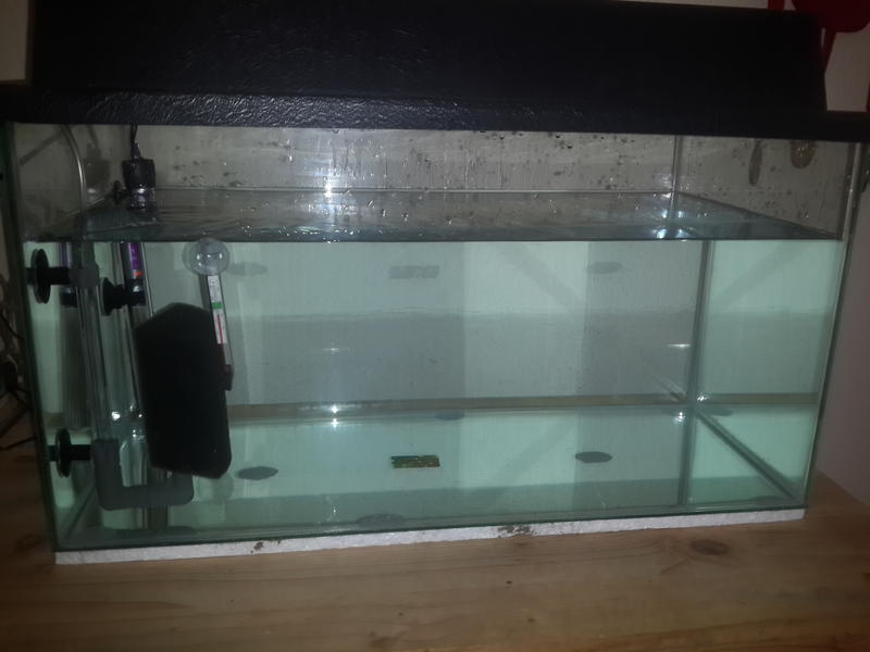 20150510_100725.jpg