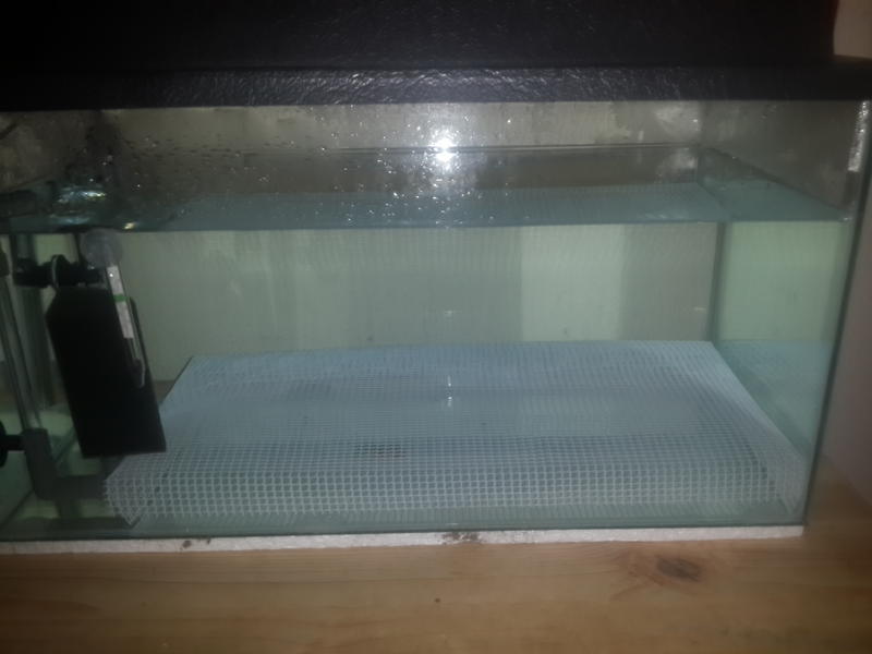 20150514_201419.jpg