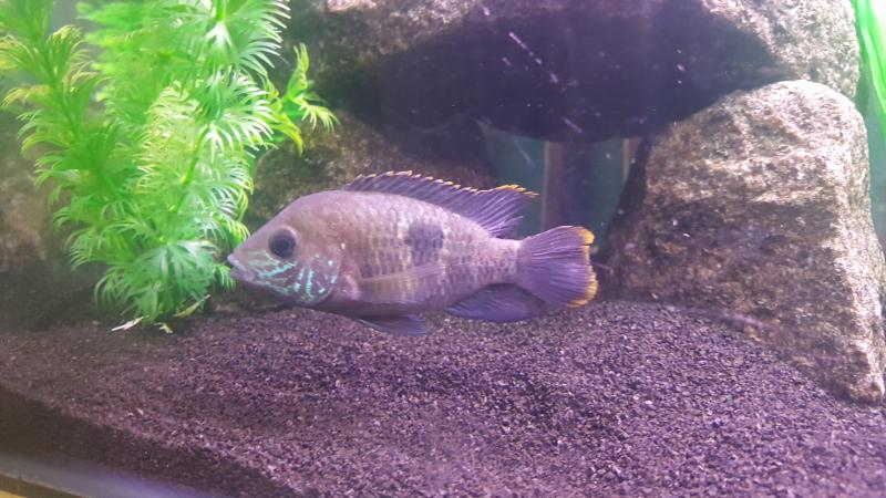 20160904_083621.jpg