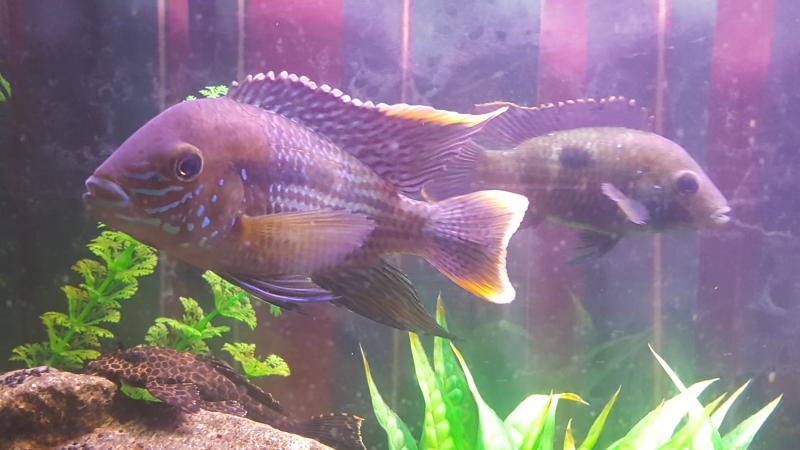 20160927_113607.jpg