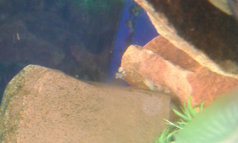 20161130_063143.jpg