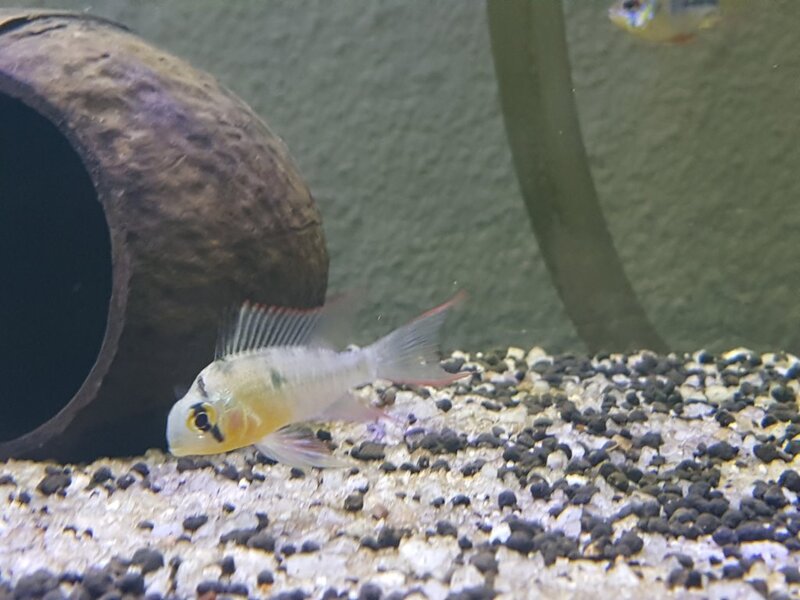 20180124_171224.jpg
