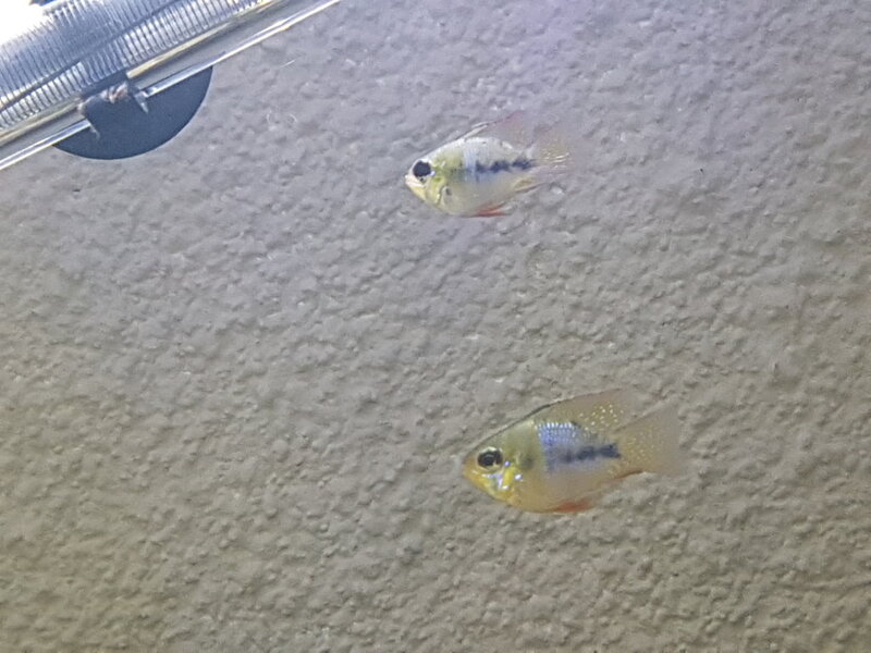 20180124_171236.jpg