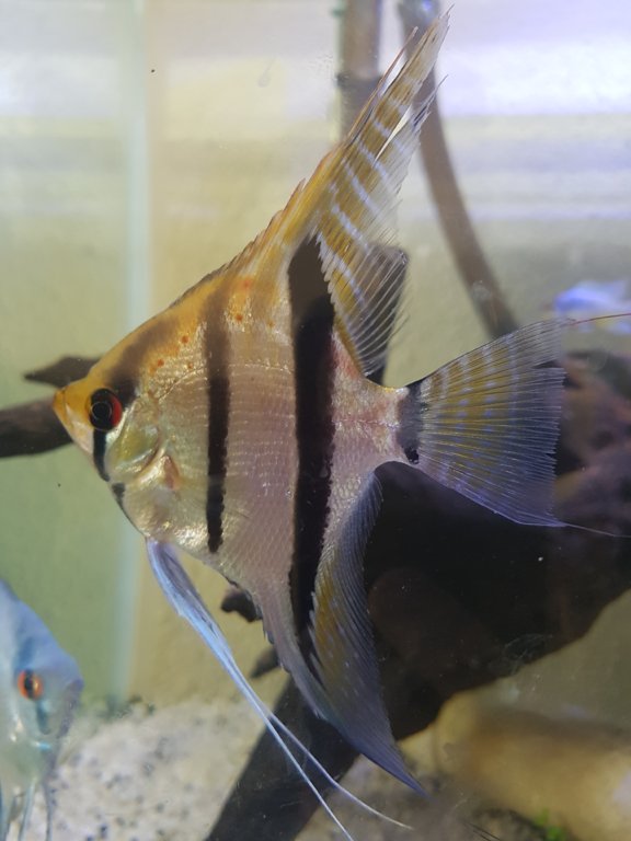 20180310_143029.jpg