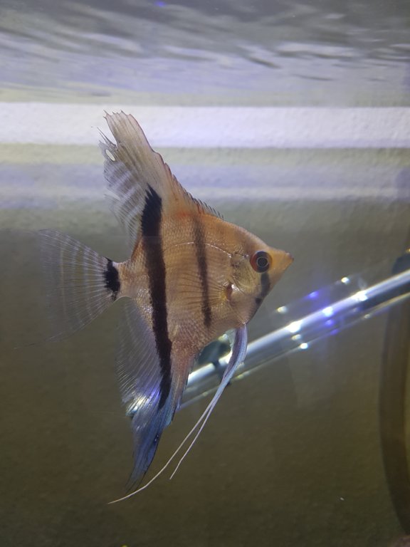 20180310_143035.jpg