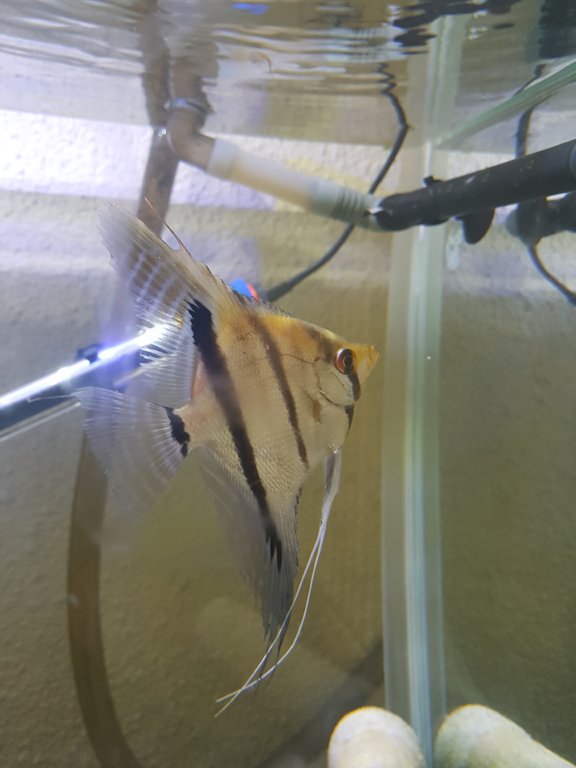 20180310_143041.jpg