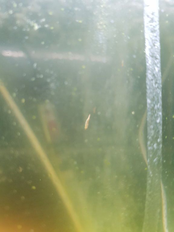 20180715_214822.jpg