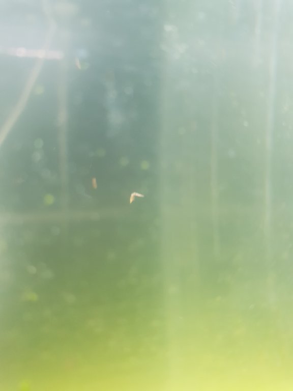20180715_214842.jpg