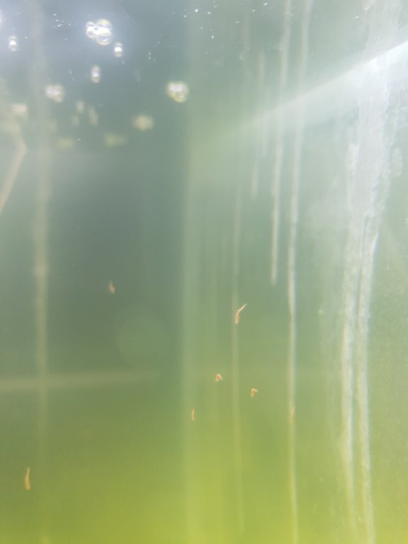 20180715_215043.jpg