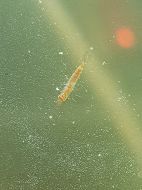 20180719_170113.jpg