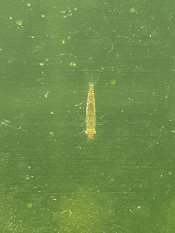 20180719_170358.jpg