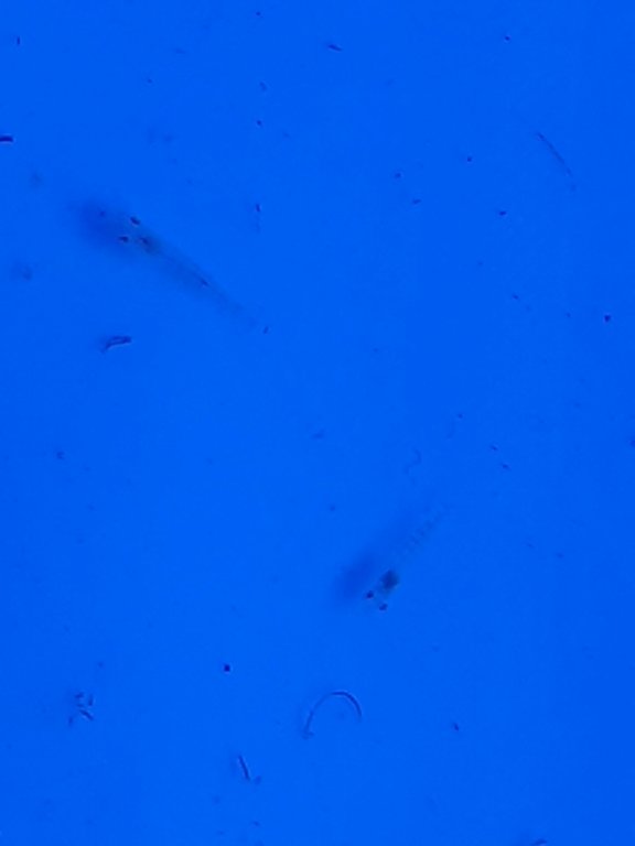 20180723_190924.jpg