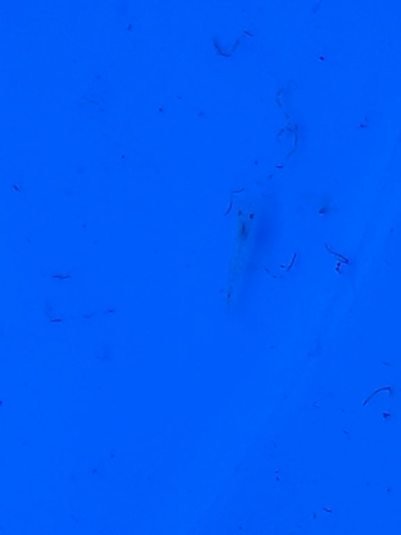 20180723_191001.jpg