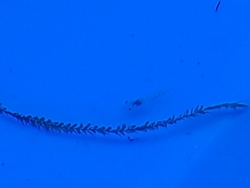 20180723_191122.jpg