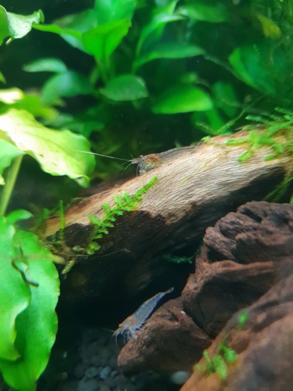20180915_203639.jpg