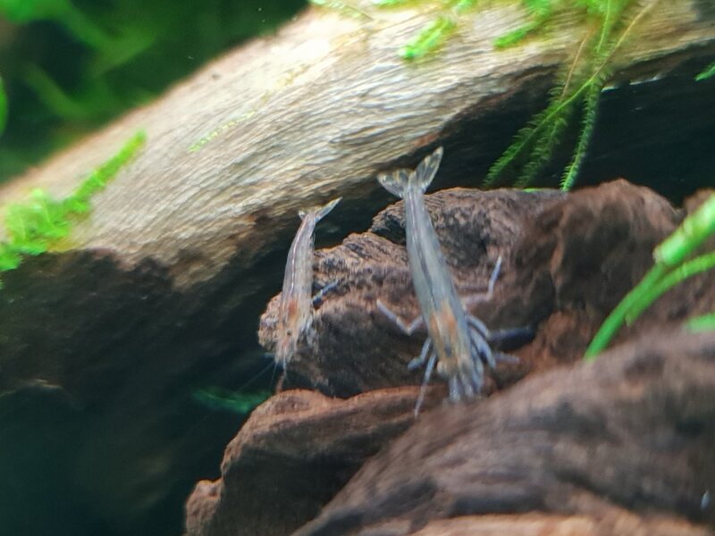 20180915_204415.jpg