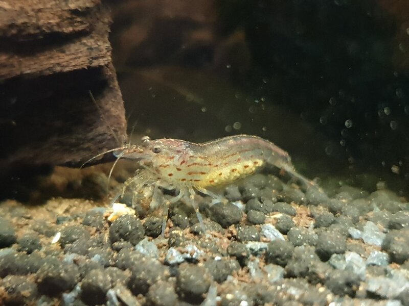 20181119_192607.jpg