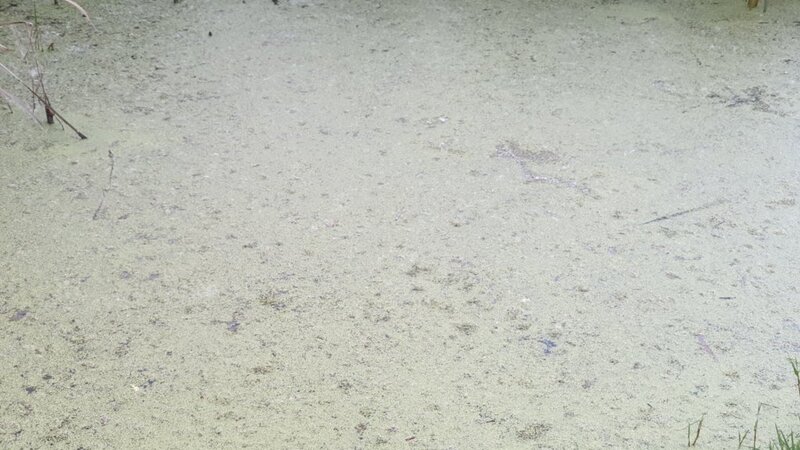 20190323_171421.jpg