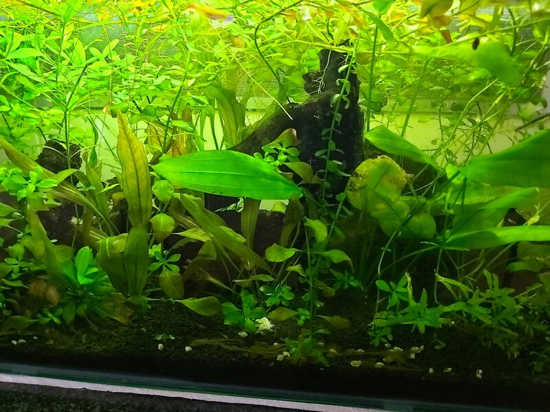 20220218_064308.jpg