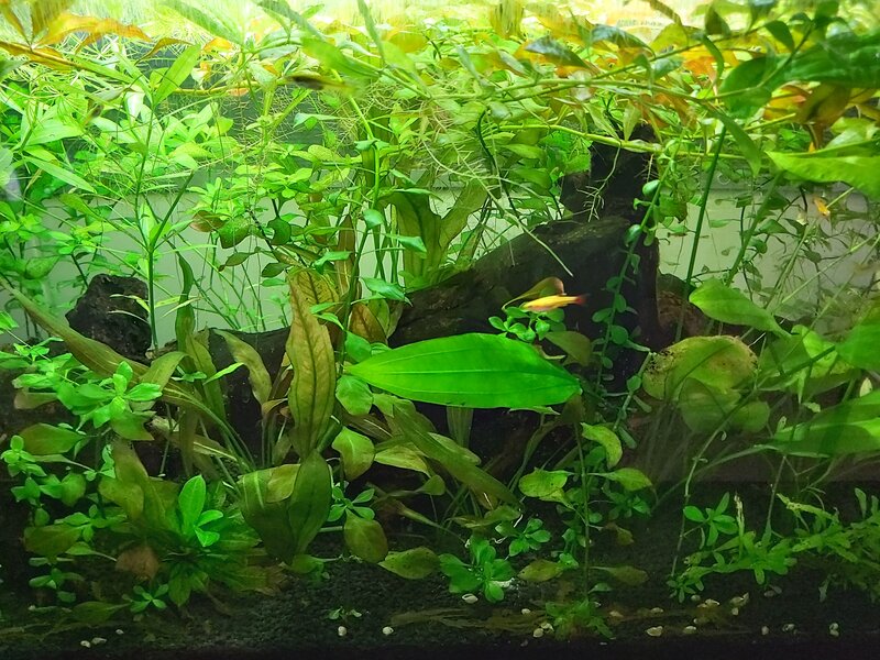 20220218_064340.jpg
