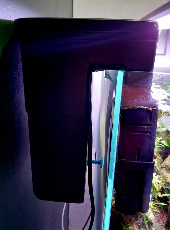 20260108_195012.jpg