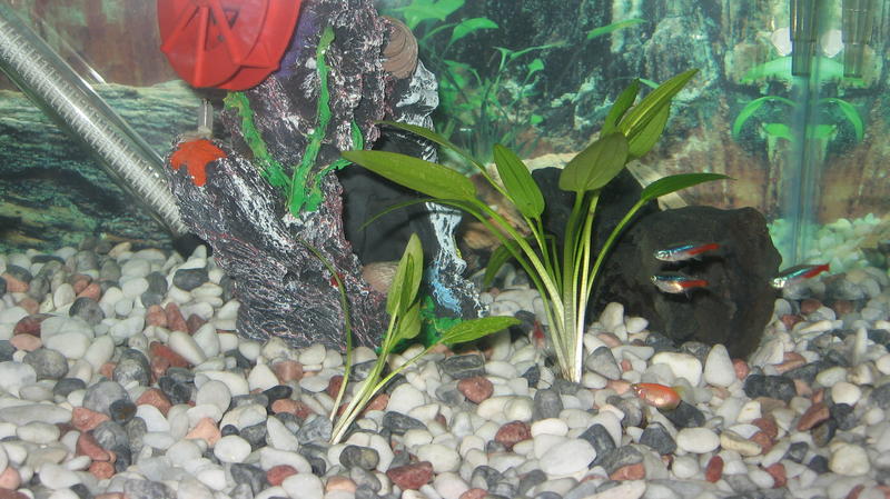 20_AUG_2012 007.jpg