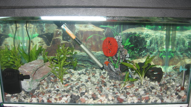 20_AUG_2012 008.jpg