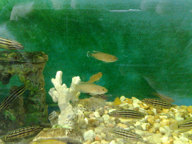 22082010252.jpg