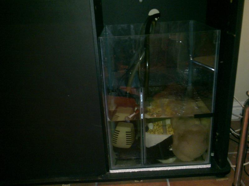 24052011129.jpg